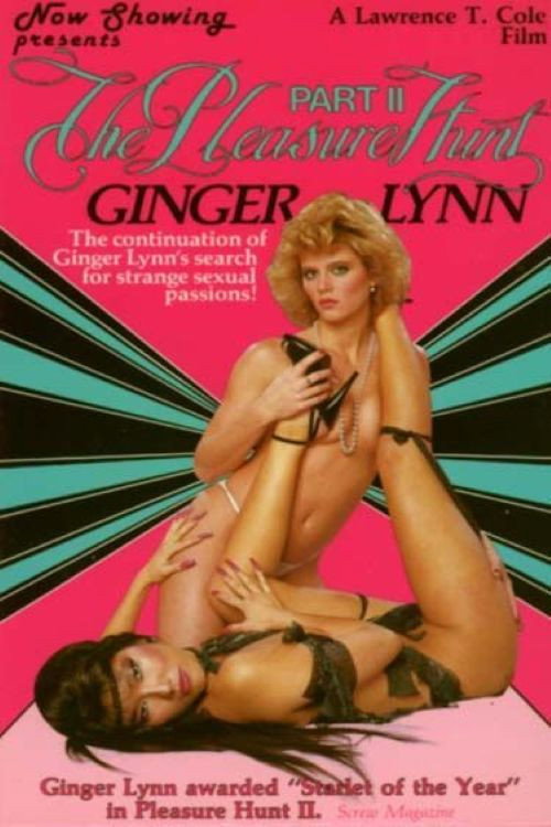 Movie poster for The Pleasure Hunt 2 (1985)