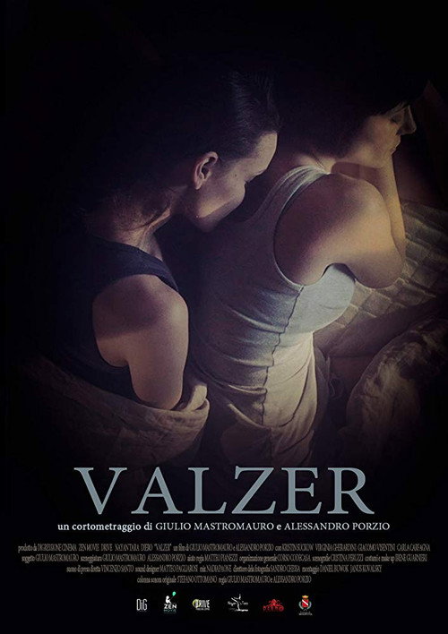 Movie poster for Valzer (2016)