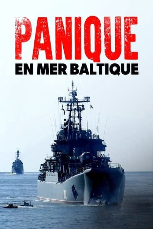 Movie poster for Panic in the baltic (2022)