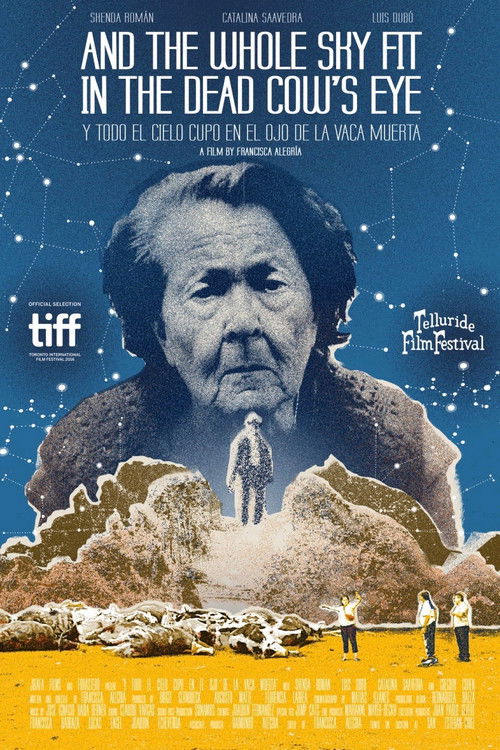 Movie poster for And the Whole Sky Fit in the Dead Cow's Eye (2016)