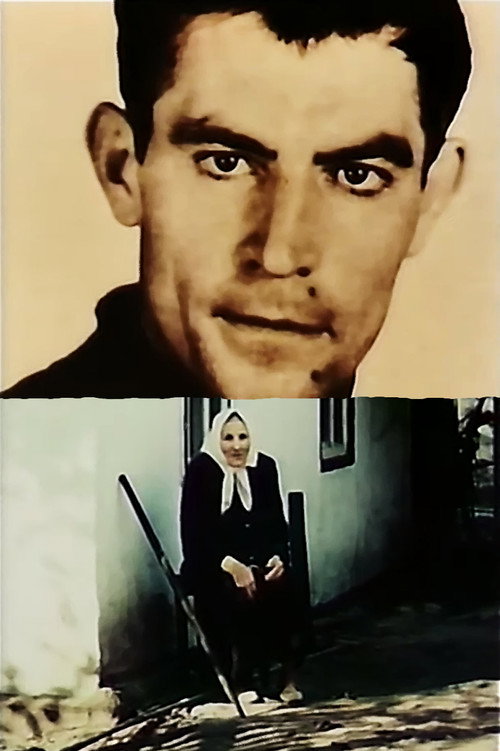 Movie poster for Come back to me, my memory (1992)