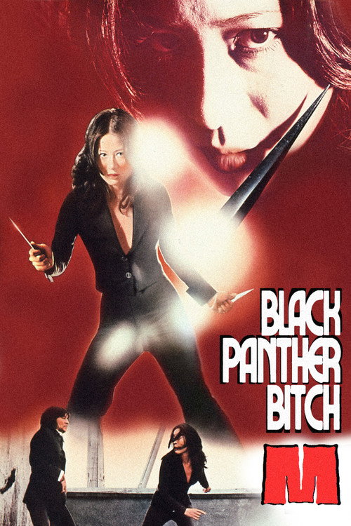 Movie poster for Black Panther Bitch M (1974)