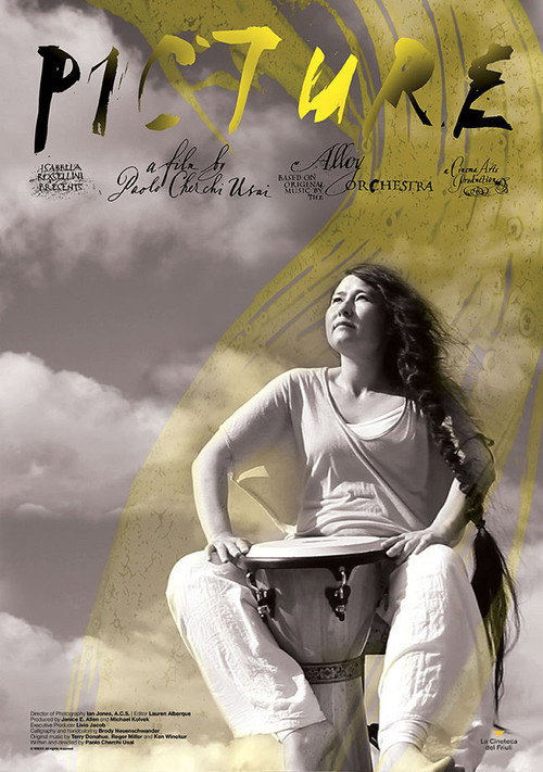 Movie poster for Picture (2015)