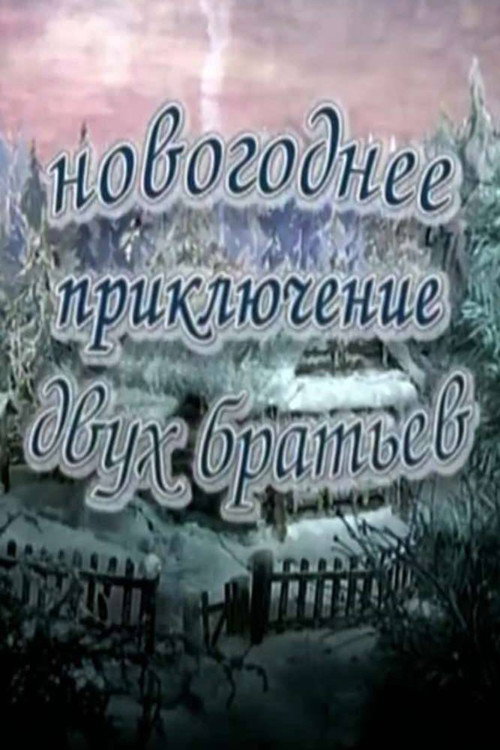 Movie poster for New Year's Adventure of Two Brothers (2004)