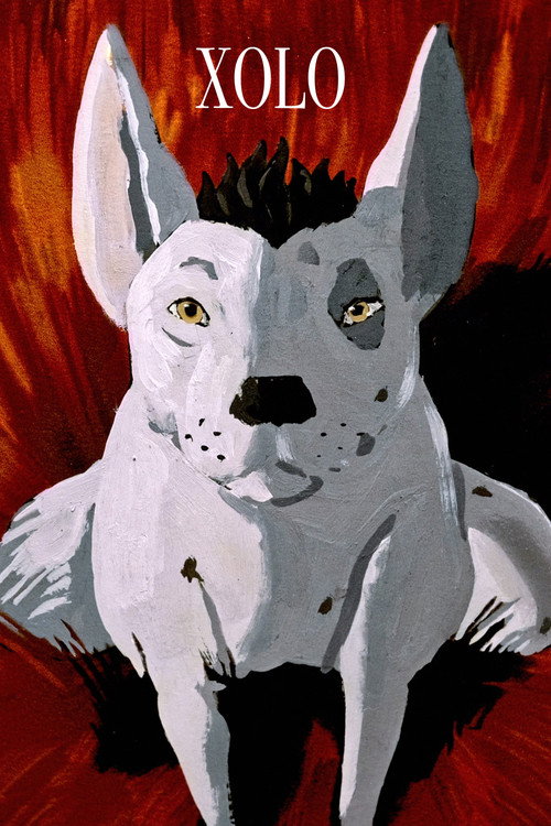 Movie poster for XOLO (2025)