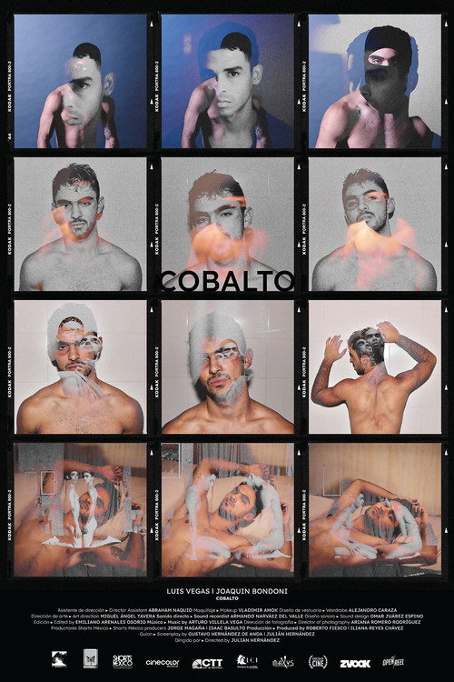 Movie poster for Cobalto (2023)