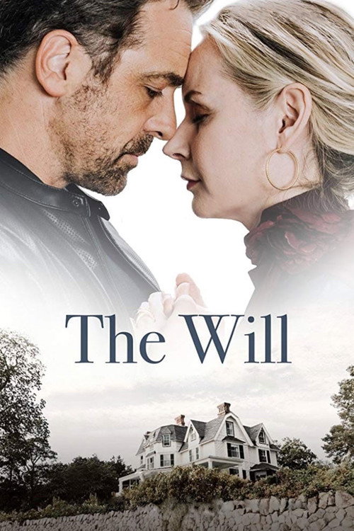 Movie poster for The Will (2020)
