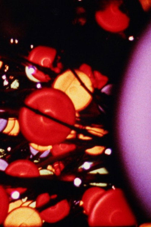 Movie poster for Lights (1966)