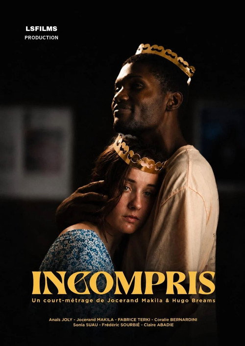 Movie poster for Misunderstood