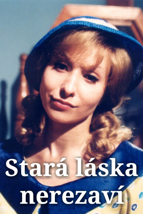 Movie poster for Stará láska nerezaví (2003)