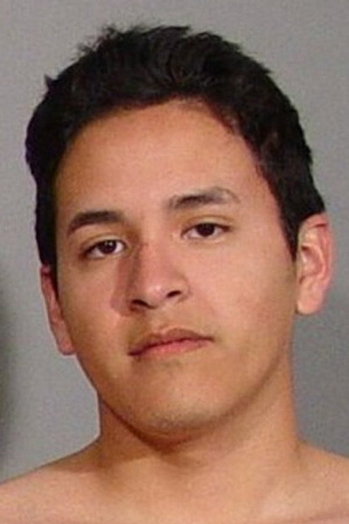 Photo of Luis Andrade, Acting