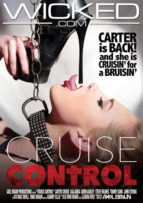 Movie poster for Cruise Control (2016)