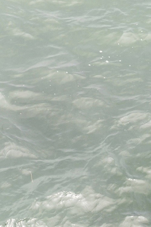 Movie poster for ob pier 5, 3 movements (2015)