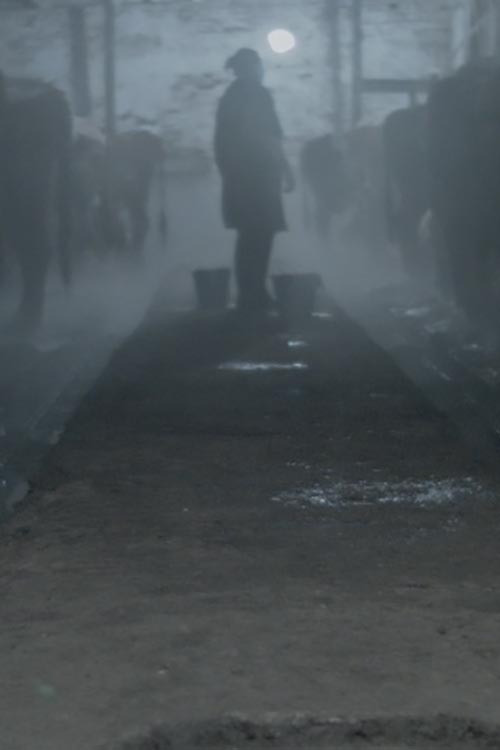 Movie poster for Daybreak, Sunset, Cow Milk (2020)