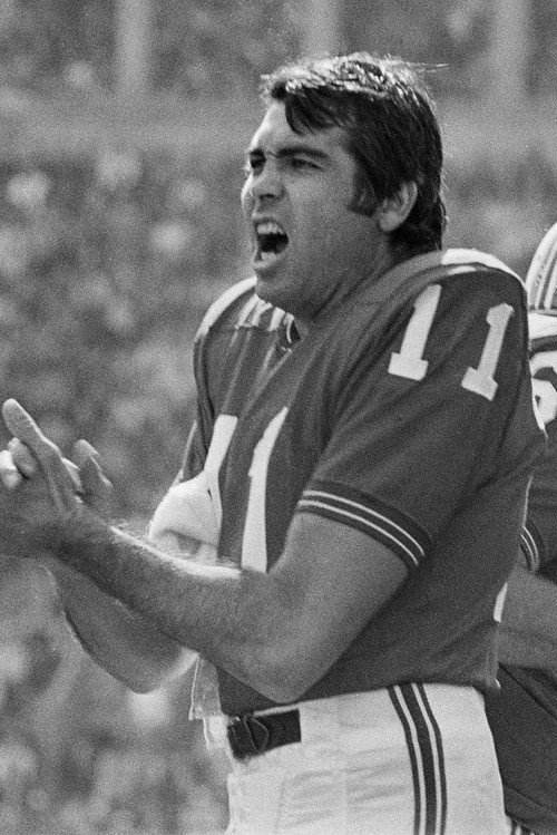 Photo of Joe Kapp, Acting