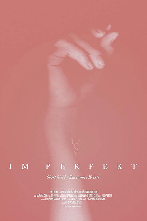 Movie poster for IM Perfekt
