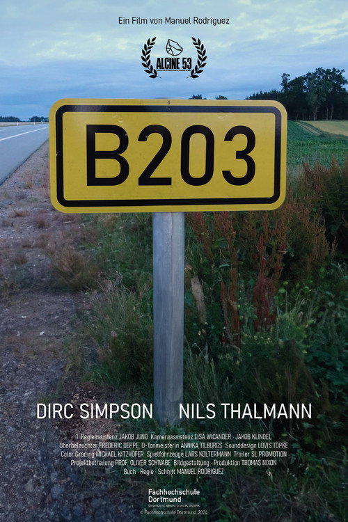 Movie poster for B203 (2024)
