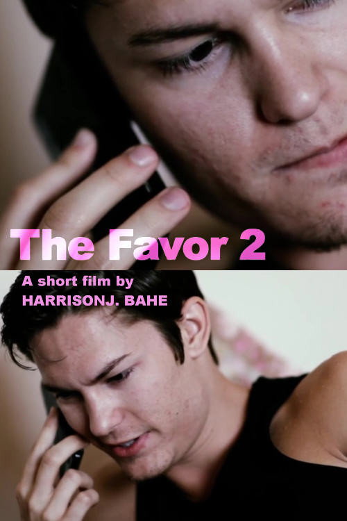 Movie poster for The Favor 2 (2012)