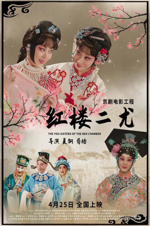 Movie poster for 红楼二尤 (2021)