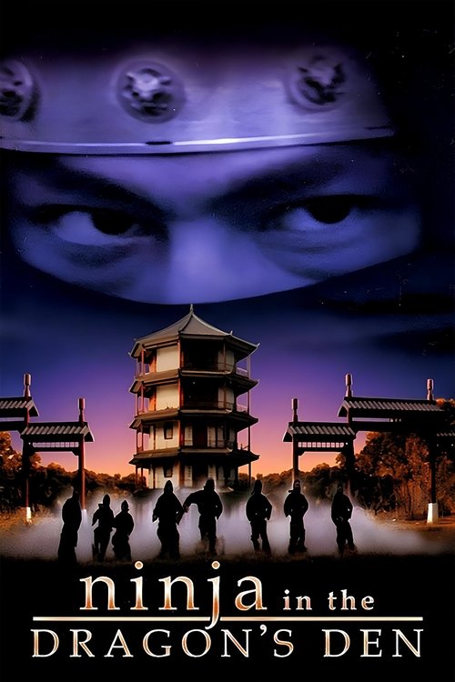 Movie poster for Ninja in the Dragon's Den (1982)