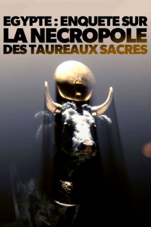 Movie poster for Égypte - Enquête sur la nécropole des taureaux sacrés (2023)