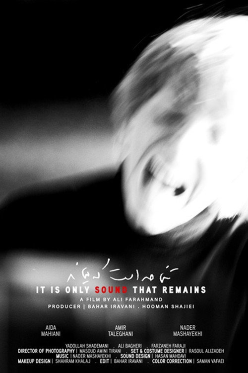 Movie poster for It Is Only Sound That Remains (2025)