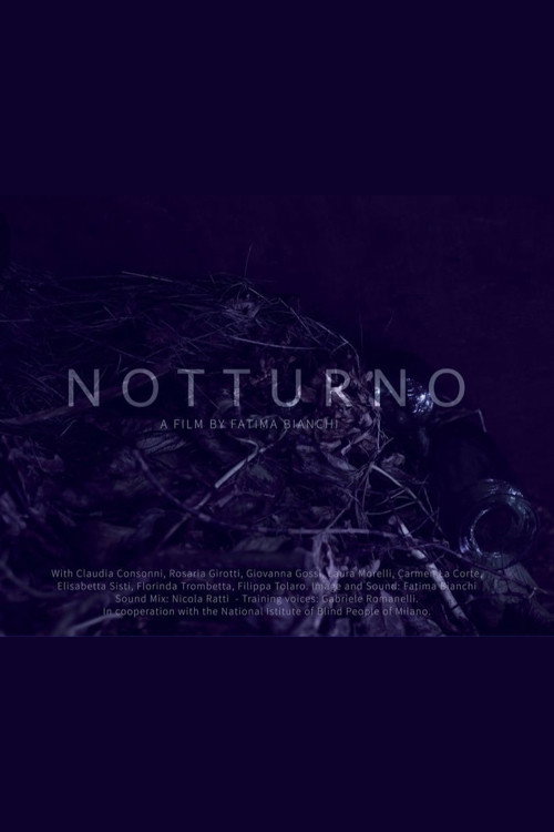 Movie poster for Notturno (2016)
