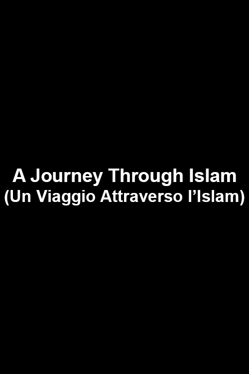 Movie poster for A Journey Through Islam (2016)