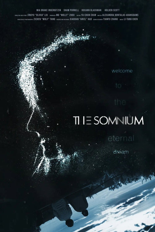 Movie poster for The Somnium (2018)