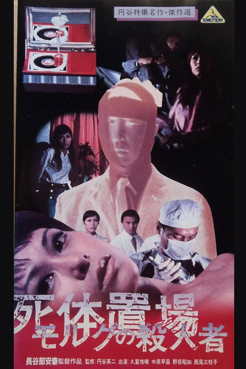 Movie poster for The Morgue Murderer (1973)