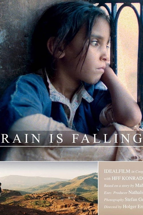 Movie poster for Rain Is Falling (2004)