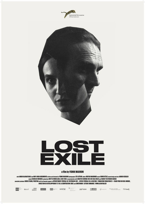 Movie poster for Lost Exile (2016)