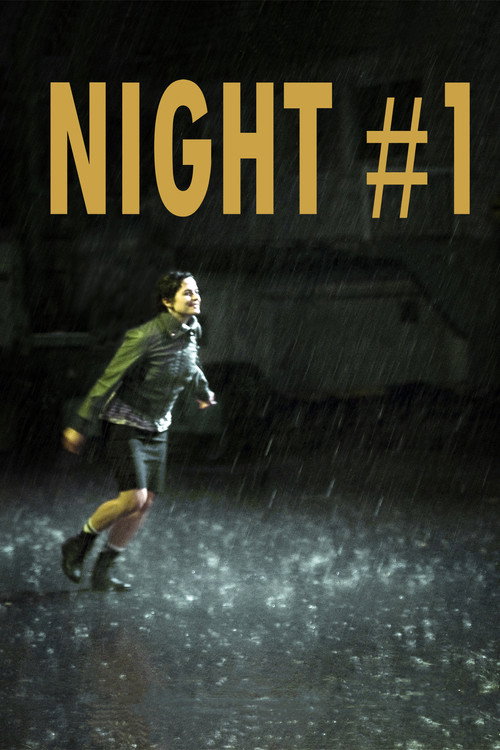 Movie poster for Night #1 (2011)