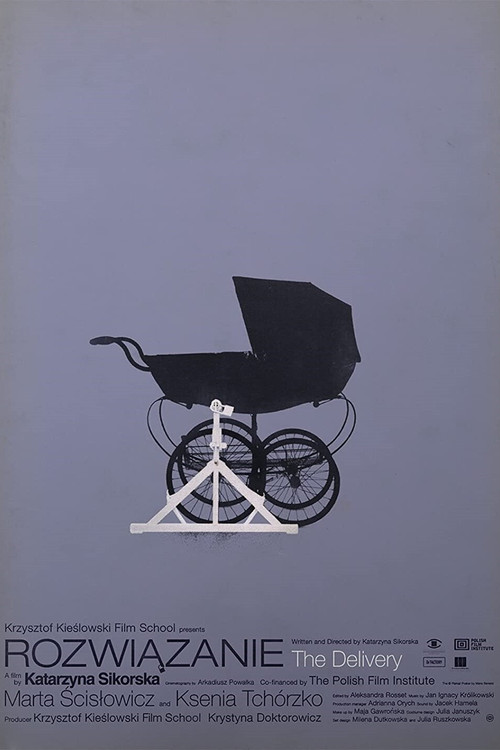 Movie poster for Delivery (2021)