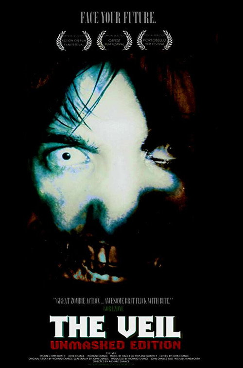 Movie poster for The Veil (2005)
