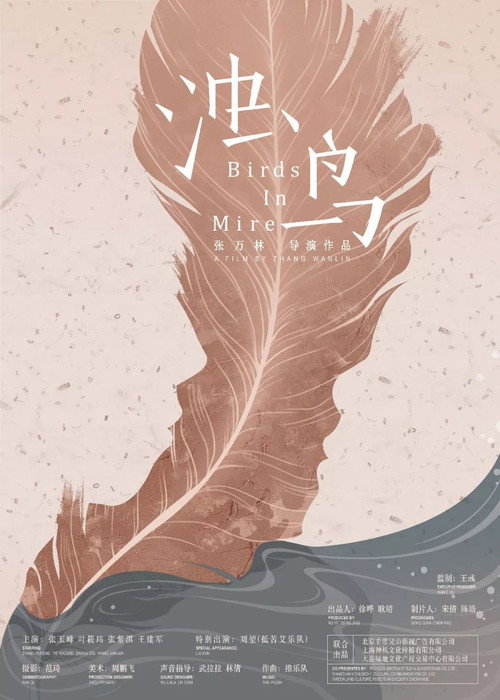Movie poster for Birds in Mire (2018)
