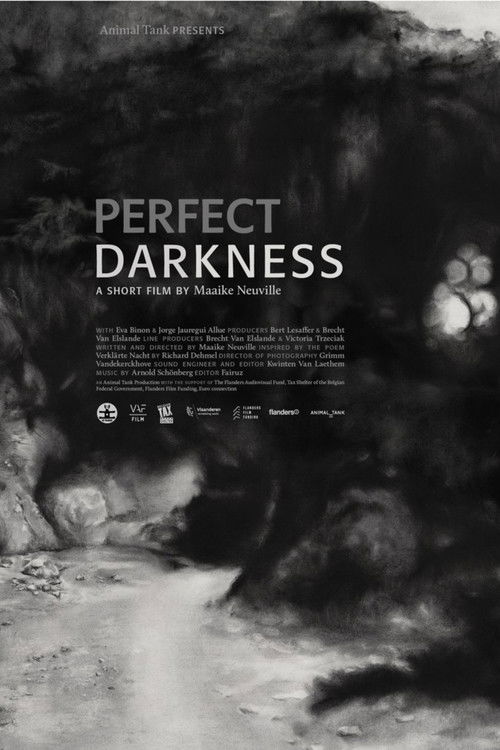 Movie poster for Perfect Darkness (2016)