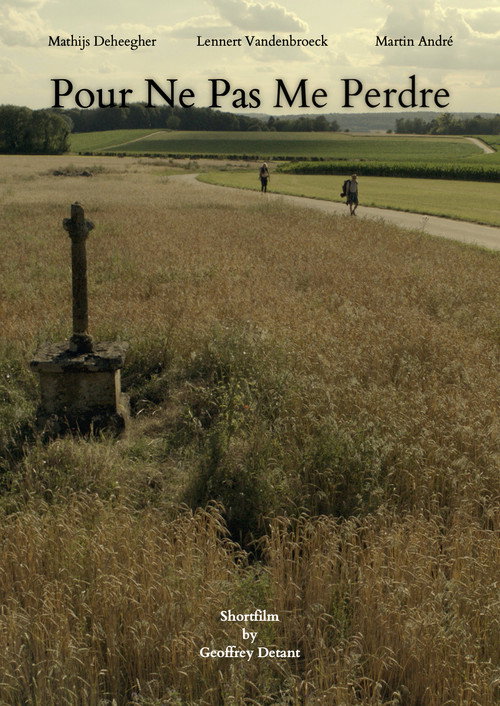 Movie poster for Pour Ne Pas Me Perdre
