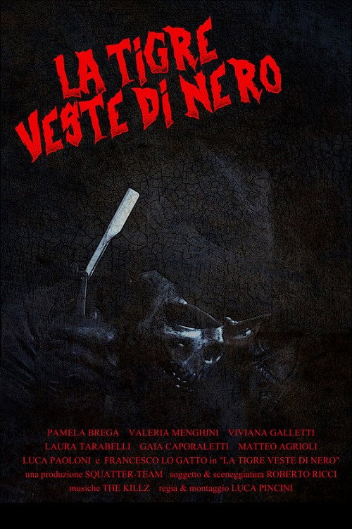 Movie poster for The tiger wears black (2023)