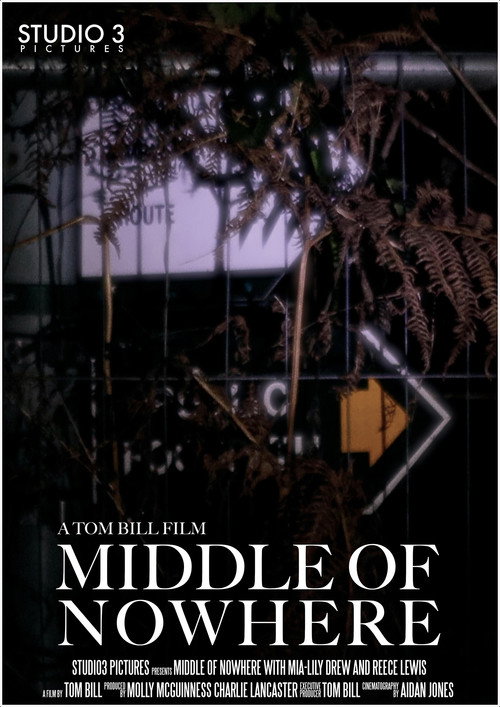 Movie poster for Middle of Nowhere (2022)