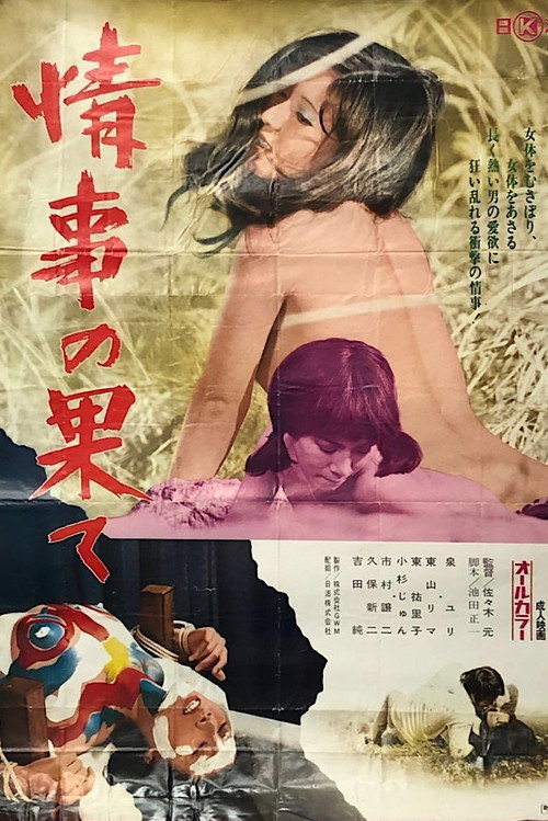 Movie poster for End of a Love Affair (1974)