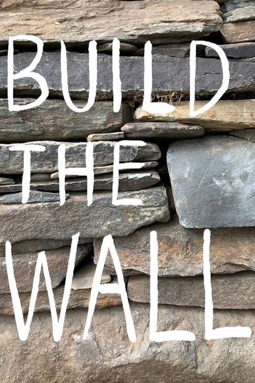 Movie poster for Build the Wall (2020)