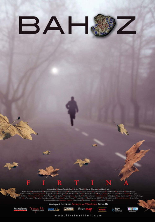 Movie poster for The Storm (2008)