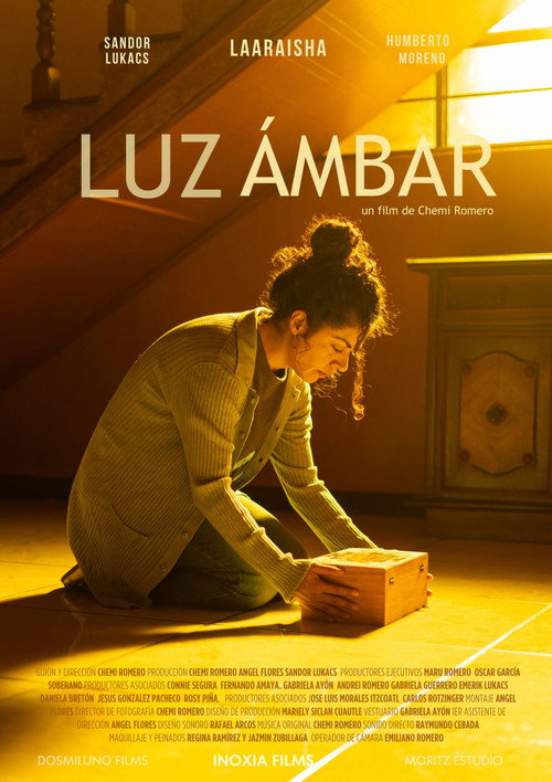 Movie poster for Luz ámbar (2024)