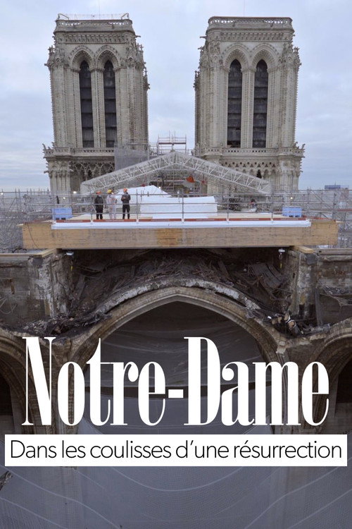 Movie poster for Notre-Dame of Paris, Rising from the Ashes (2021)