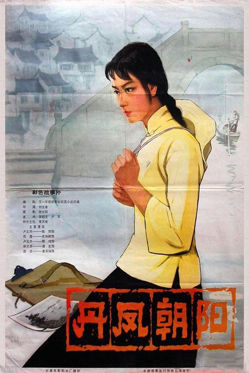 Movie poster for A Embroider Maiden (1980)