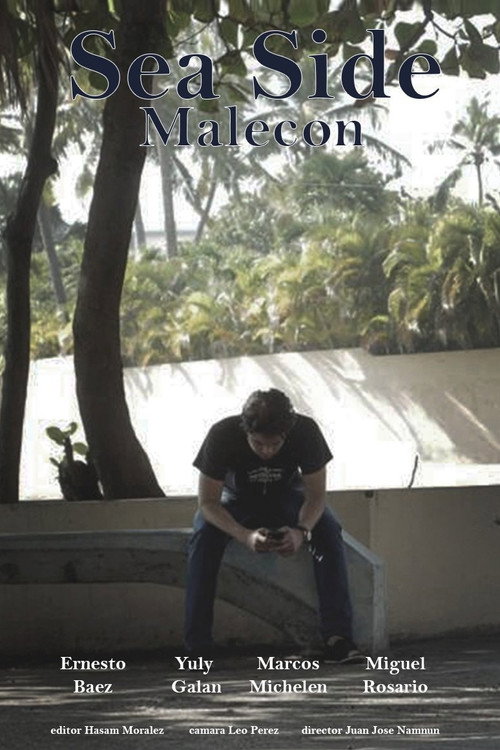 Movie poster for Sea Side (2017)