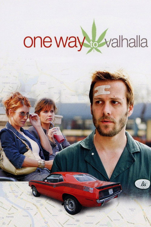 Movie poster for One Way to Valhalla (2009)
