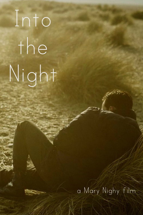 Movie poster for Into the Night (2010)