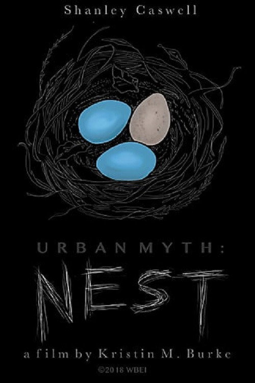 Movie poster for Urban Myth: Nest (2017)